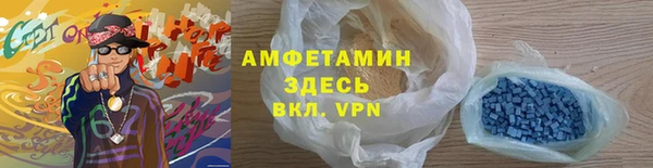 прущие грибы Ладушкин